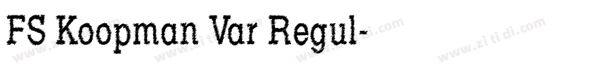 FS Koopman Var Regul字体转换